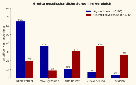 Infografik zu den größten gesellschaftlichen Sorgen